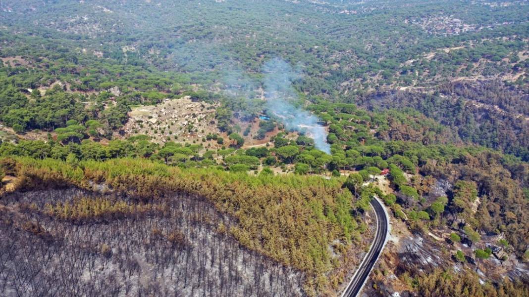 Aydın'da yangın felaketi: Havadan çekilen görüntülerde korkunç manzara 12