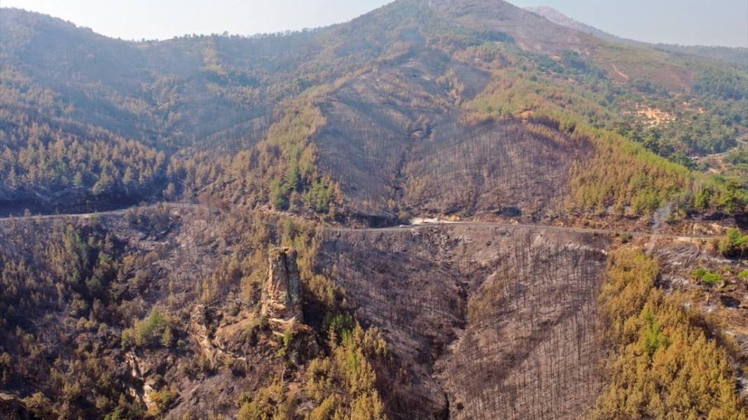 Aydın'da yangın felaketi: Havadan çekilen görüntülerde korkunç manzara 14