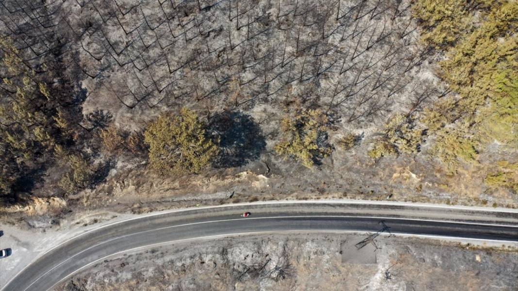 Aydın'da yangın felaketi: Havadan çekilen görüntülerde korkunç manzara 10