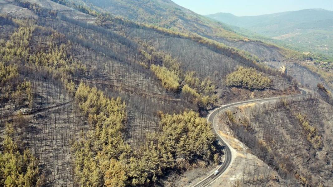 Aydın'da yangın felaketi: Havadan çekilen görüntülerde korkunç manzara 4