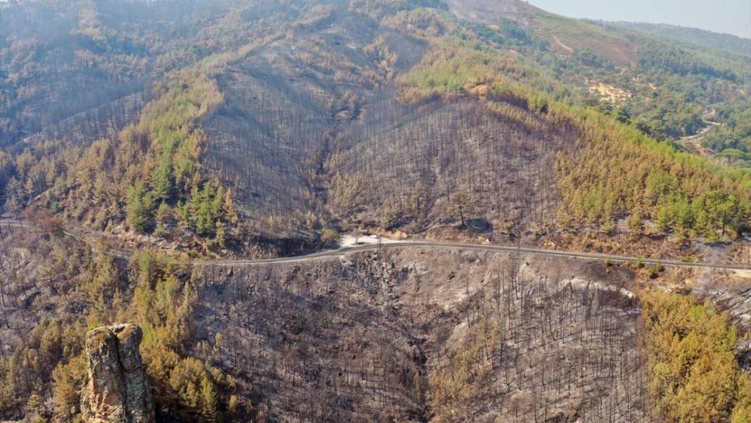 Aydın'da yangın felaketi: Havadan çekilen görüntülerde korkunç manzara 2