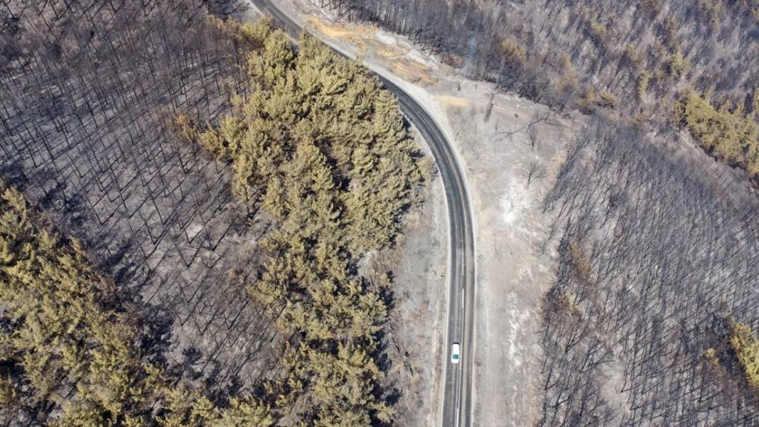 Aydın'da yangın felaketi: Havadan çekilen görüntülerde korkunç manzara 6