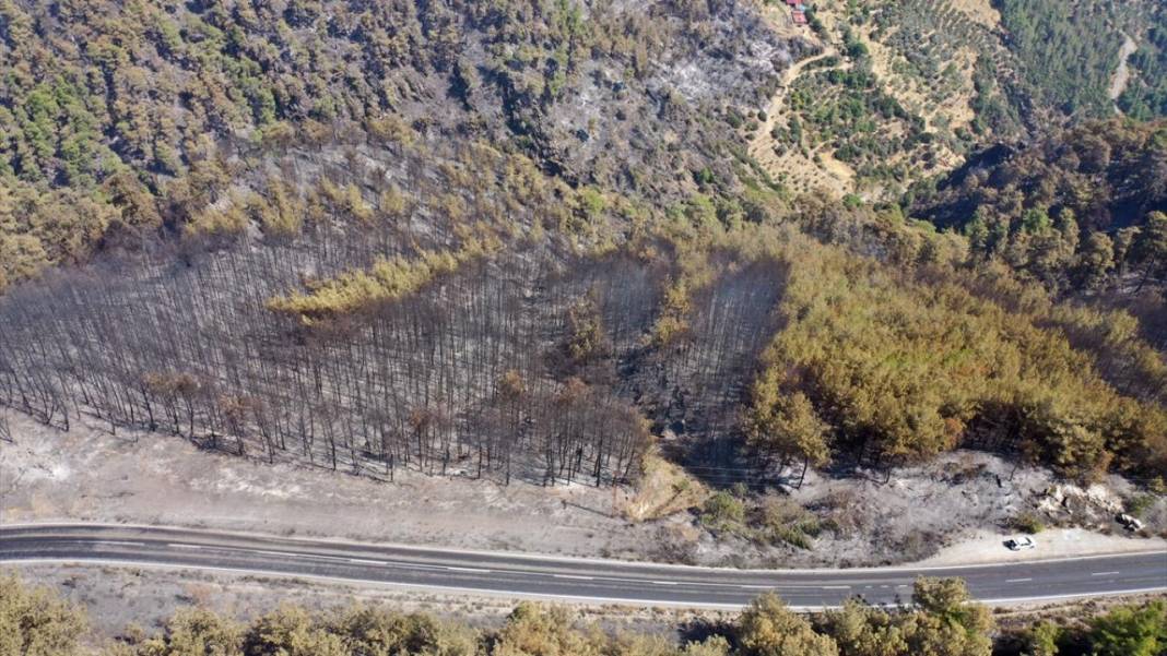 Aydın'da yangın felaketi: Havadan çekilen görüntülerde korkunç manzara 1