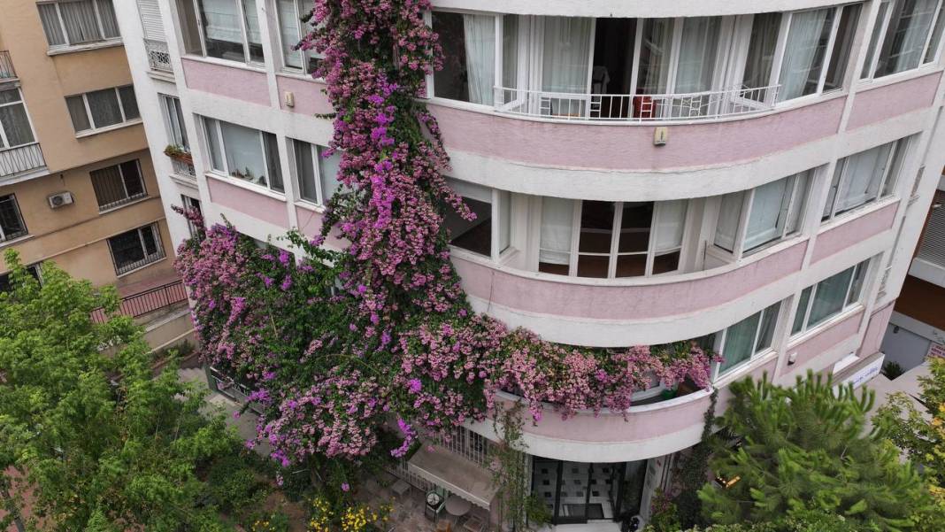 Nişantaşı'nın gözde apartmanı! Her şey bir fidanla başladı 11