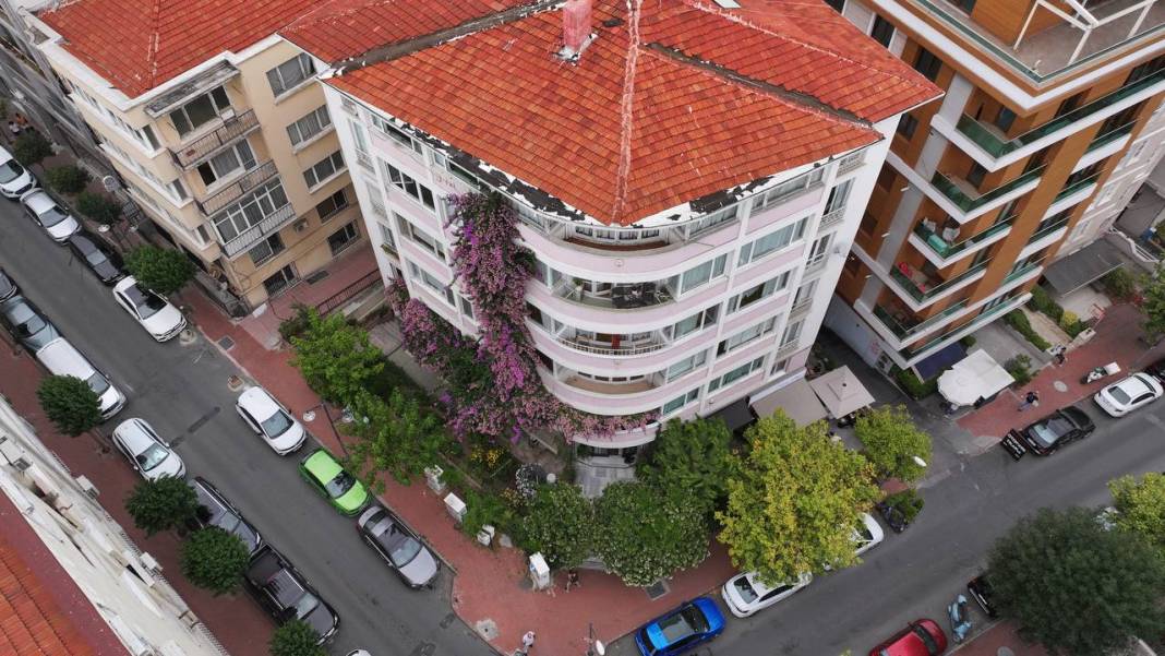 Nişantaşı'nın gözde apartmanı! Her şey bir fidanla başladı 4