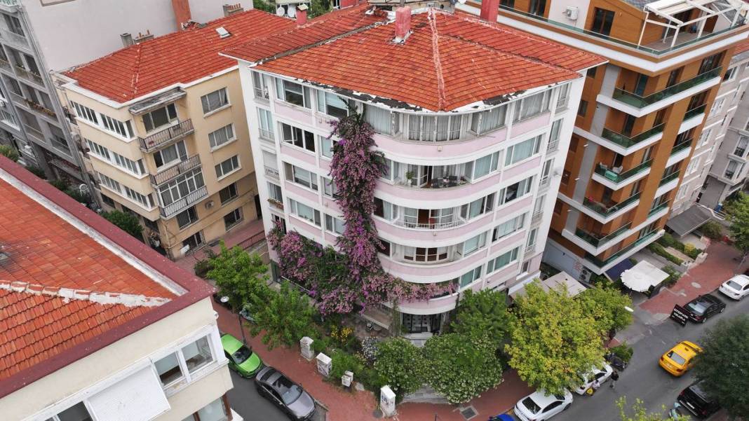 Nişantaşı'nın gözde apartmanı! Her şey bir fidanla başladı 5