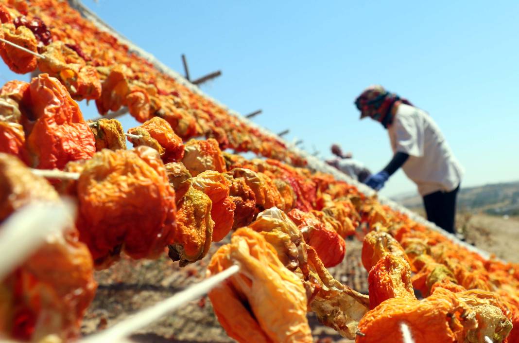 Gaziantepli üretiyor güneş pişiriyor! Dünyanın da dört bir yanına gidiyor 7