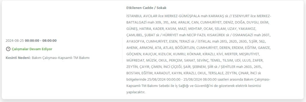 İstanbul'da yarın 25 Ağustos Pazar elektrik kesintisi yaşanacak ilçeler 2