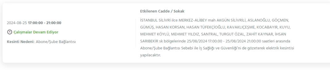 İstanbul'da yarın 25 Ağustos Pazar elektrik kesintisi yaşanacak ilçeler 11