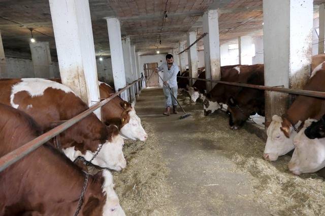 Karadeniz'in geleceğini kurtaracak proje 4