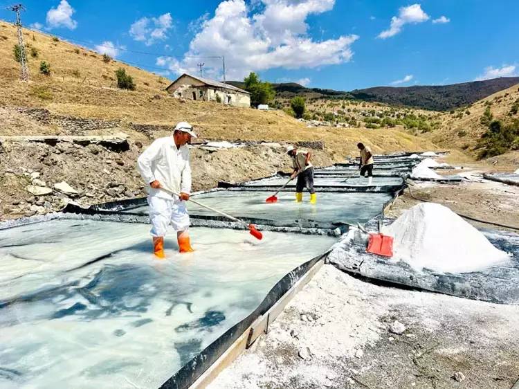 1000 yıldır 1700 metre rakımdan çıkarılıyor. Bol mineralli olduğu için Avrupa'da çok talep görüyor 3