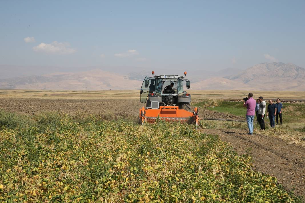 7 ton hibe ile ekim başladı. Bu yıl hasadından 425 ton rekolte alınacak 6