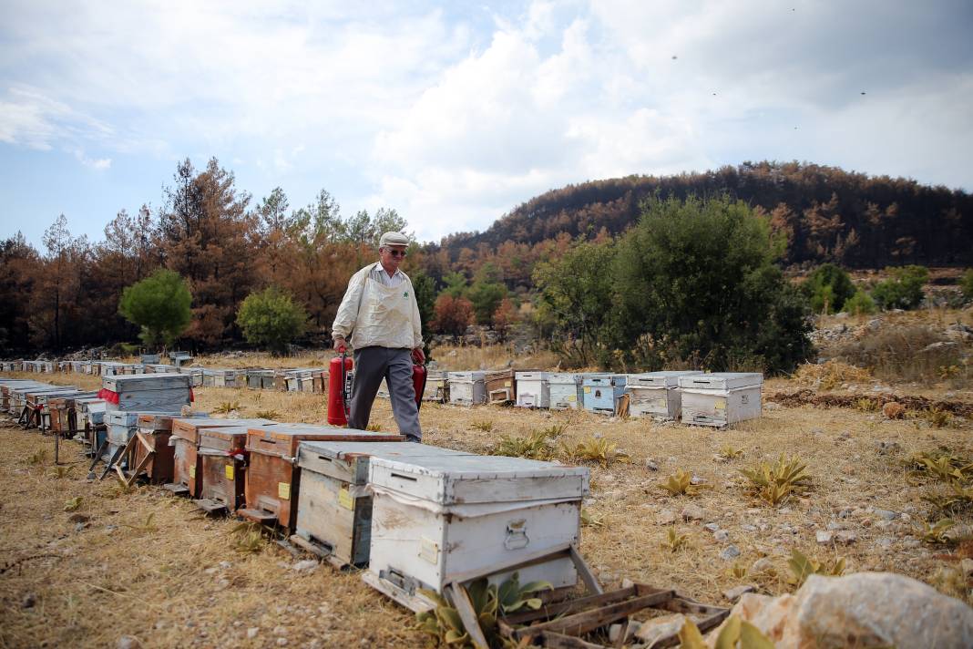 Arıcı alevlere meydan okudu! Hepsini kurtardı 3