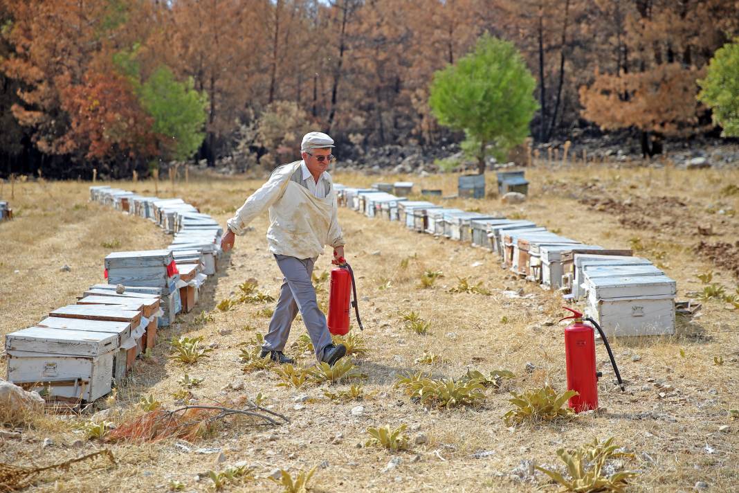 Arıcı alevlere meydan okudu! Hepsini kurtardı 15