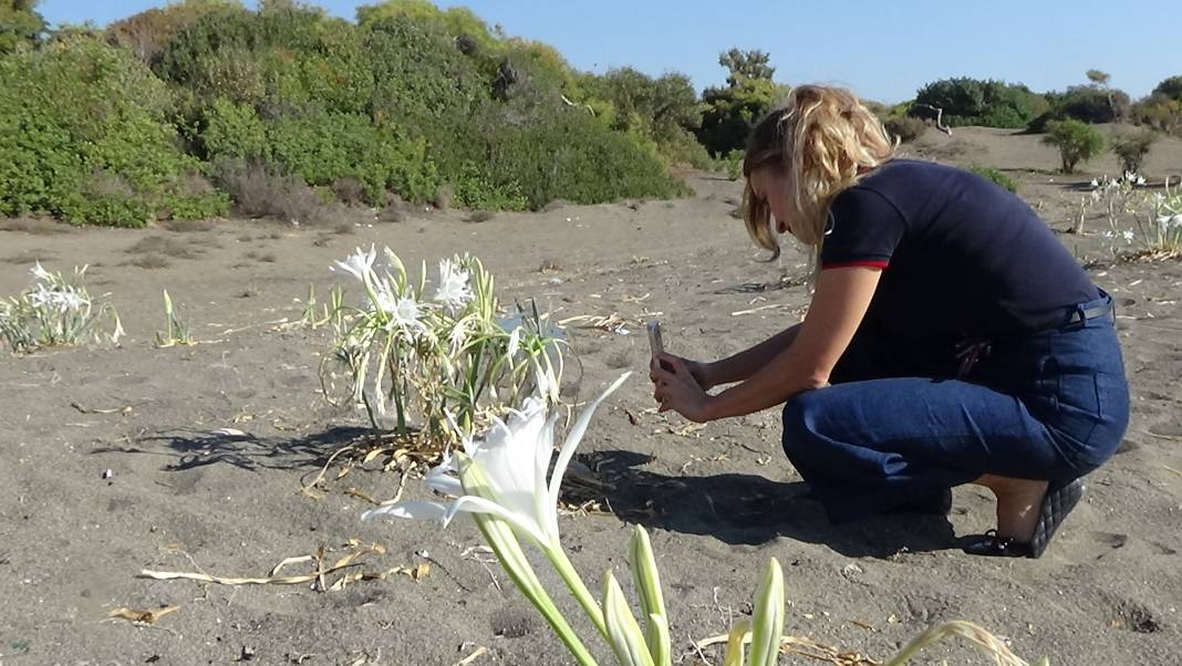 Aklı olan yanından bile geçmez! Koparılırsa 387 bin lira cezası var 1