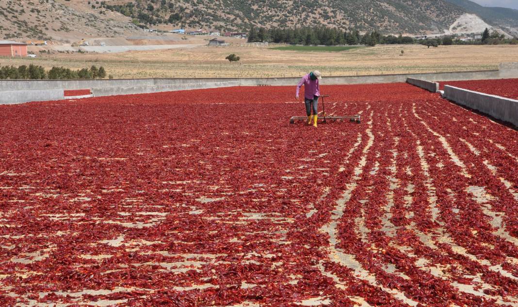 8 bin kişi kırmızı altının başına geçti 6