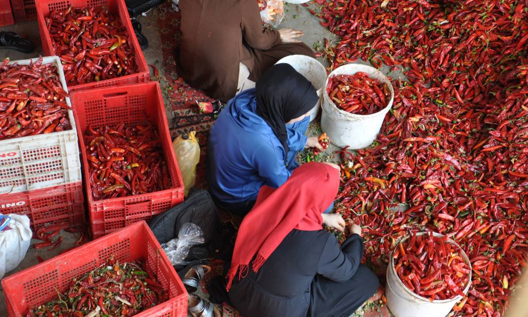 8 bin kişi kırmızı altının başına geçti 3