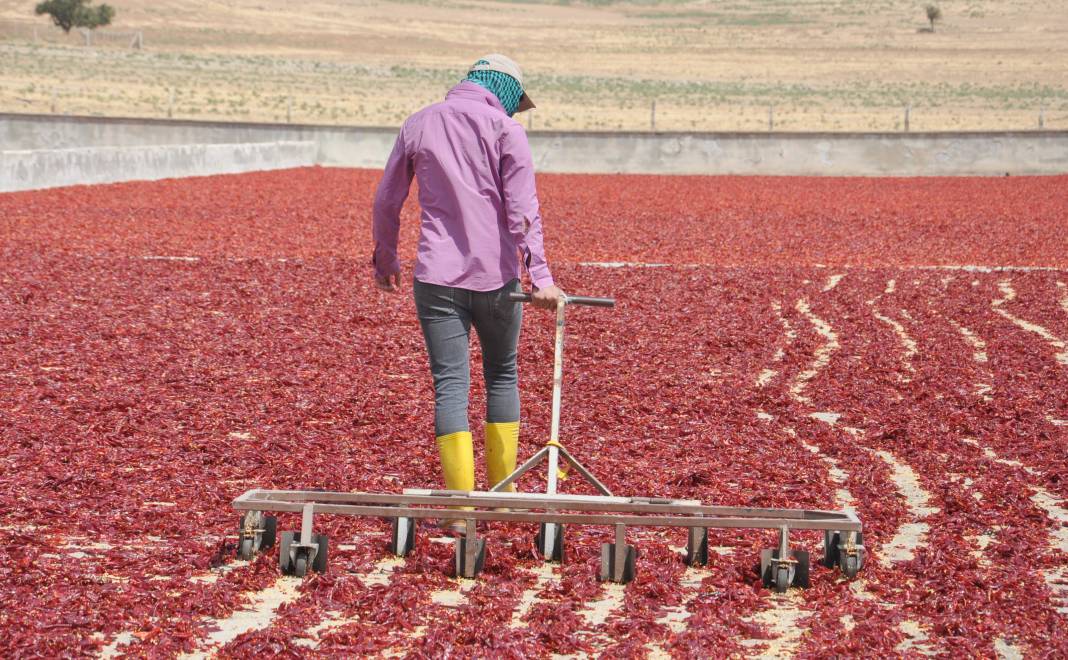 8 bin kişi kırmızı altının başına geçti 8