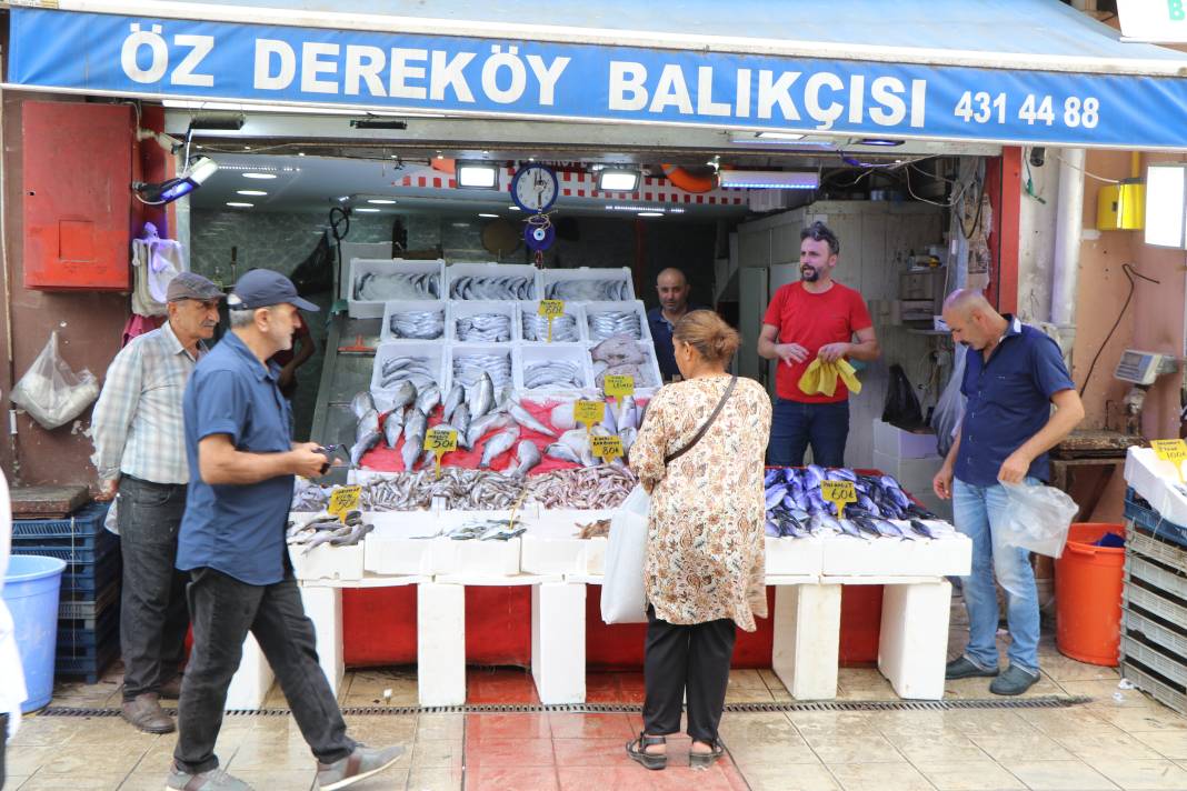 Samsun'da  balık sezonu palamut bolluğu ile başladı 3