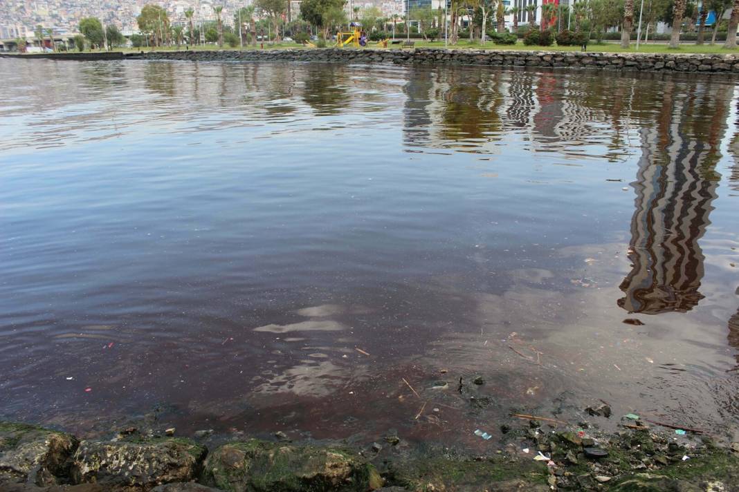 Kırmızıya boyanan İzmir Körfezi'nin ne zaman eski haline döneceği belli oldu 1