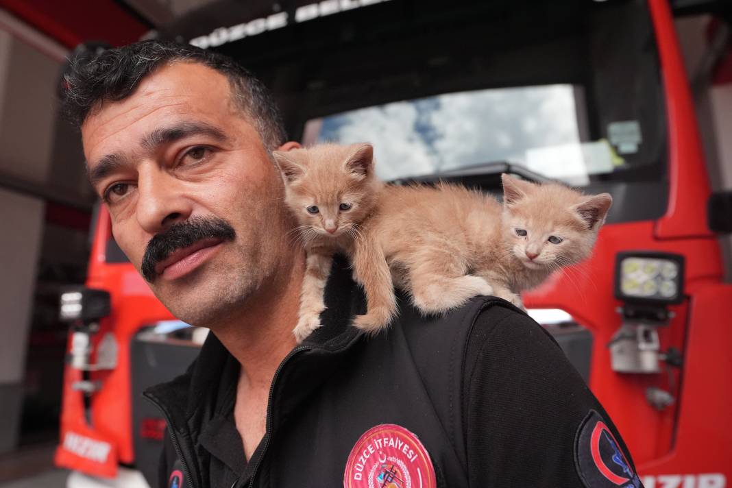 Kurtarılan kedileri itfaiye sahiplendi! Duman ve Alev artık teşkilatın maskotu 4