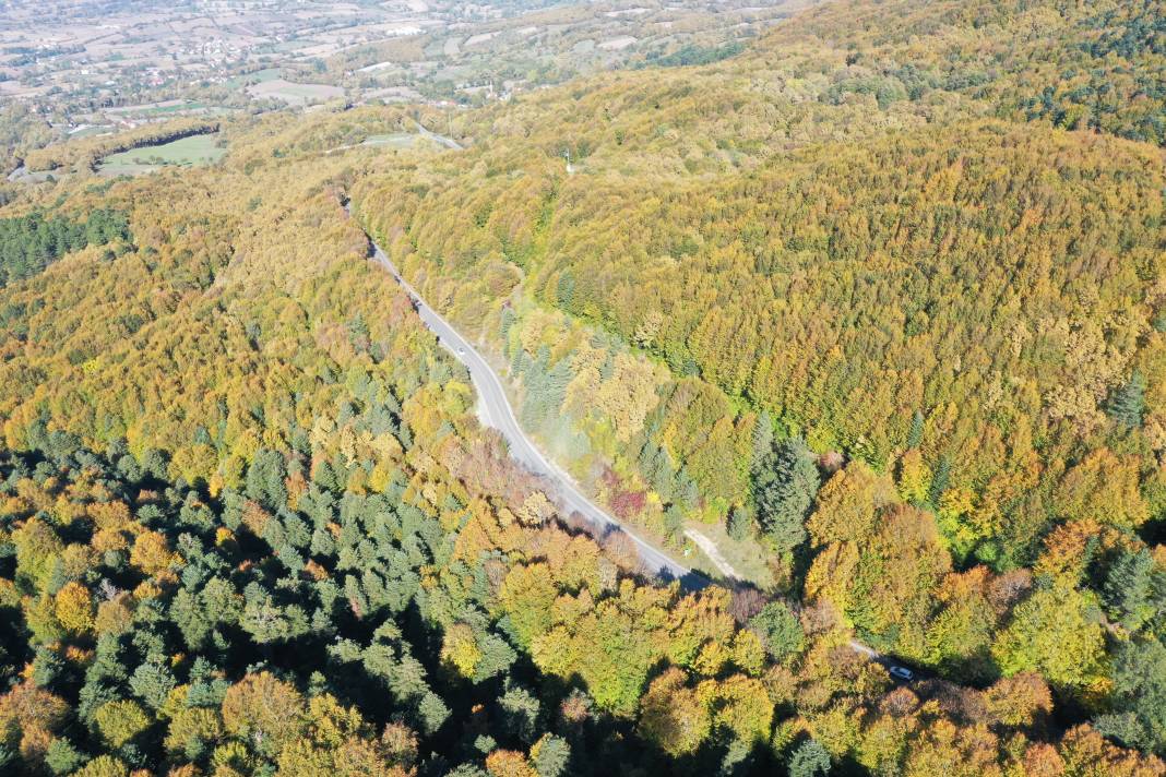 Gölcük Tabiat Parkı açık hava fotoğraf stüdyosuna dönüştü 6