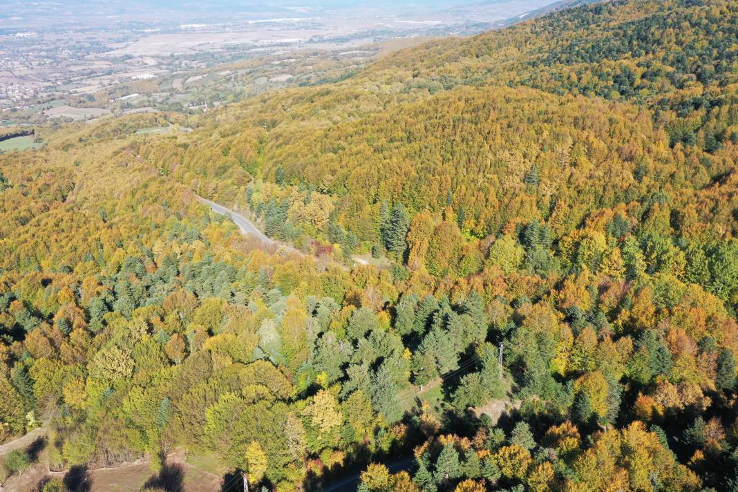 Gölcük Tabiat Parkı açık hava fotoğraf stüdyosuna dönüştü 4