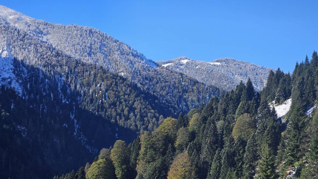 Rize kış gelmeden beyaza büründü 7