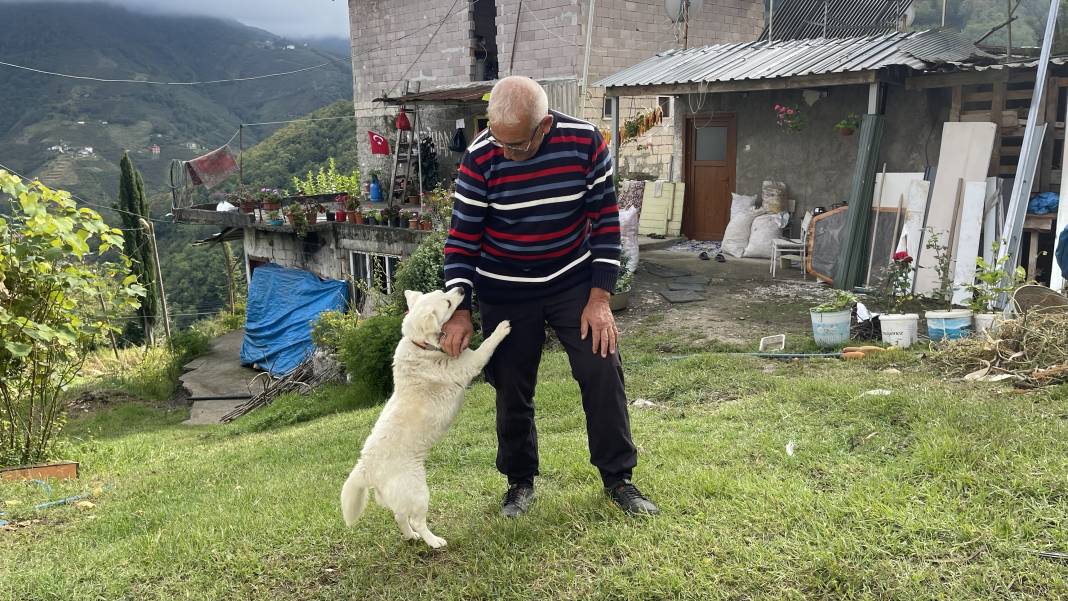 Japonya köpek Boncuk’u konuşuyor! Sürekli arayıp soruyorlar 5