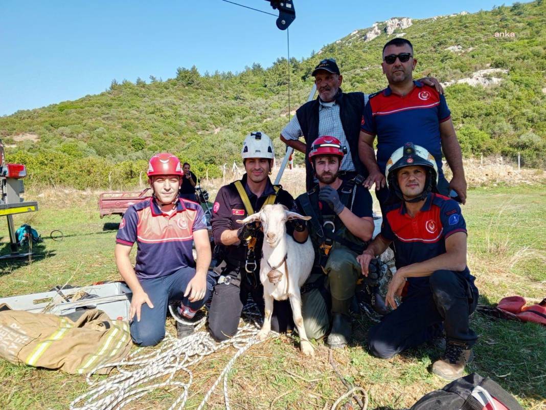 İtfaiye ekipleri gaz dolu kuyuya düşen keçiyi kurtardı 1