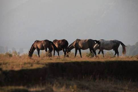 Bildiğiniz tüm köyleri unutun. Toroslardaki 600 kişinin yaşadığı cennet Dünyanın en iyi turizm köyü seçildi 9