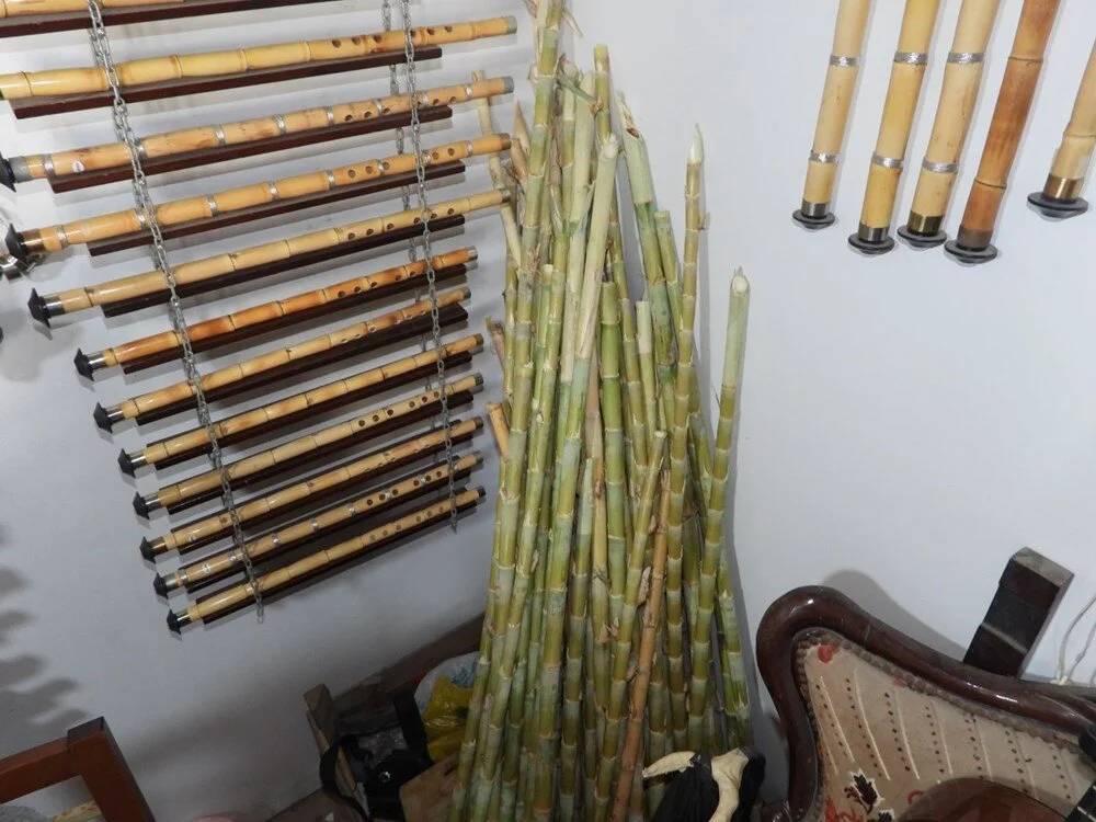 750 yıldır bu topraklarda yetişiyor. Fiyatı 2 bin ile 20 bin lira arasında satılıyor 2