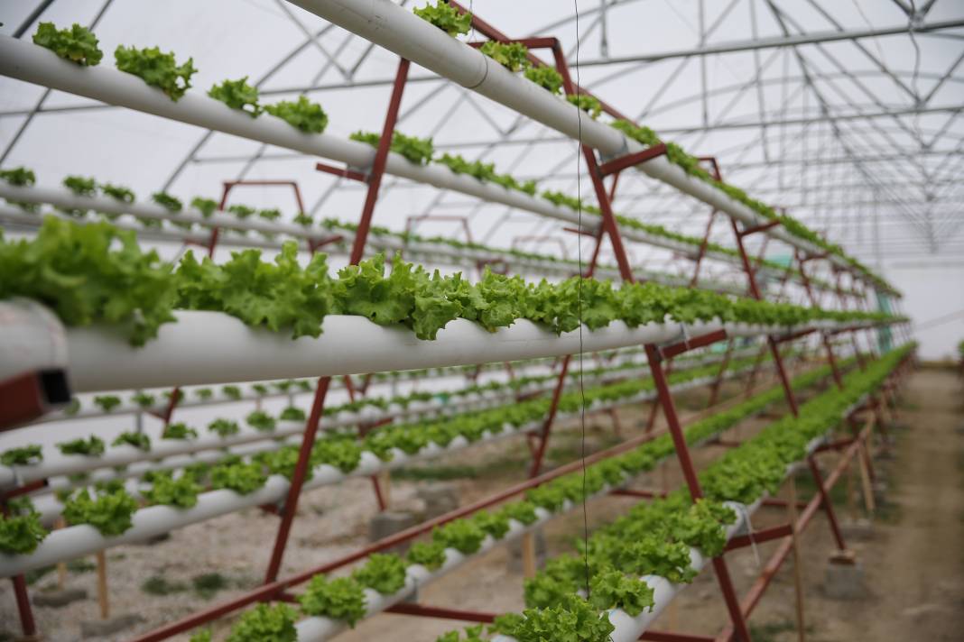 Yılın 8 ayı 40 günde bir hasat yapıyor. Bunun için işini bıraktı 5