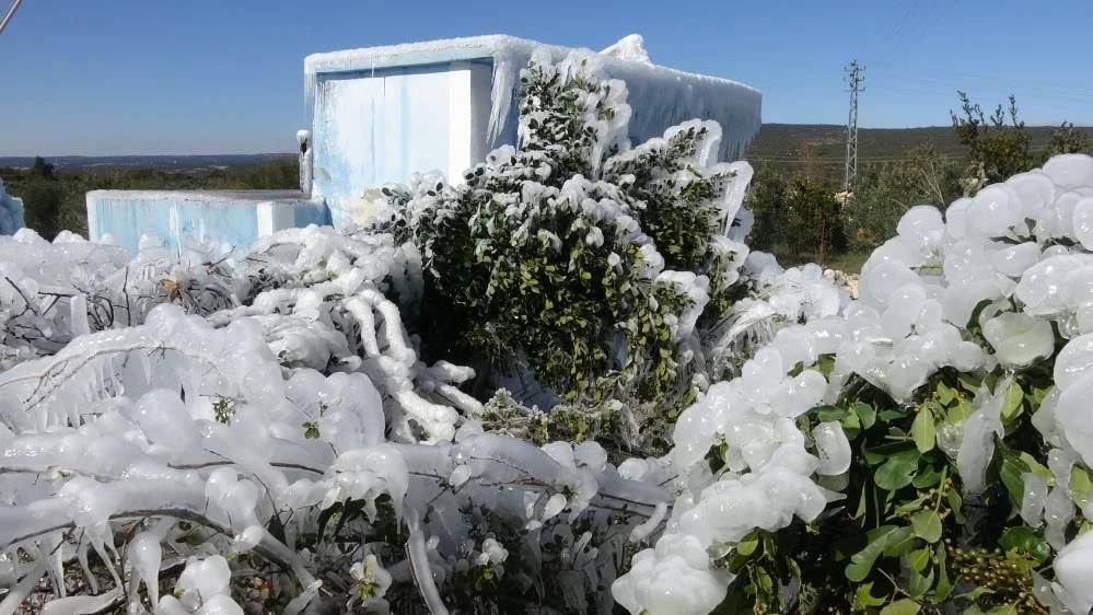 Fotoğraf Sibirya'da değil Mersin'de çekildi 7
