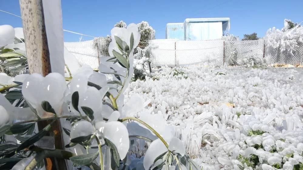 Fotoğraf Sibirya'da değil Mersin'de çekildi 8