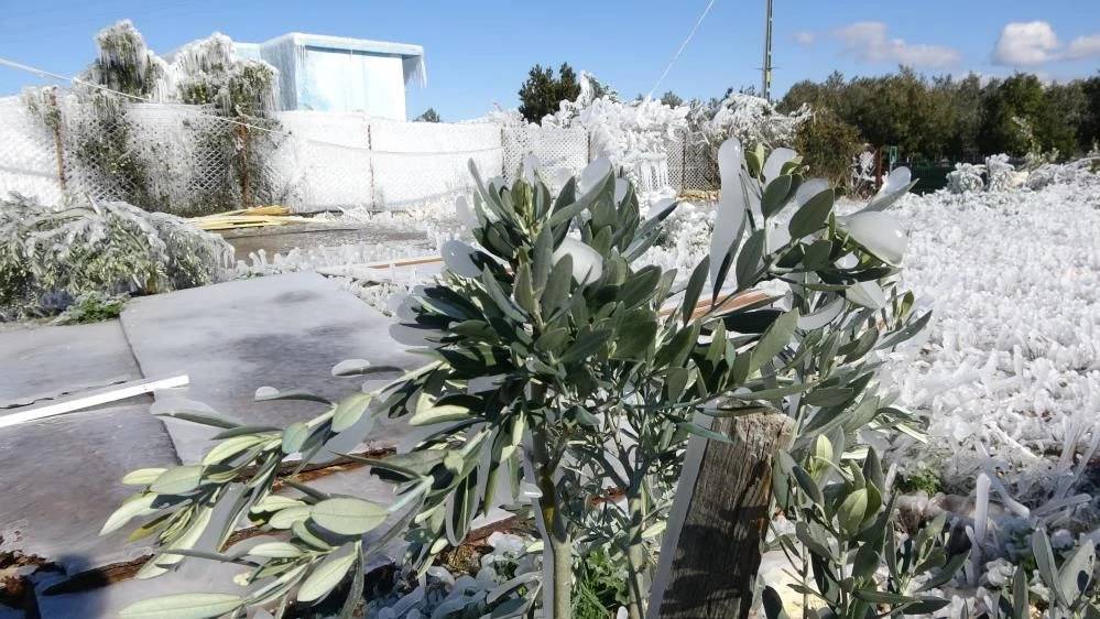 Fotoğraf Sibirya'da değil Mersin'de çekildi 4