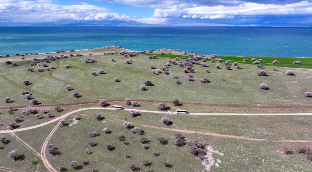 Çarpanak Adası doğaseverleri cezbediyor 10