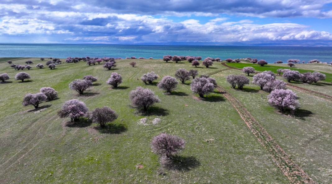 Çarpanak Adası doğaseverleri cezbediyor 7