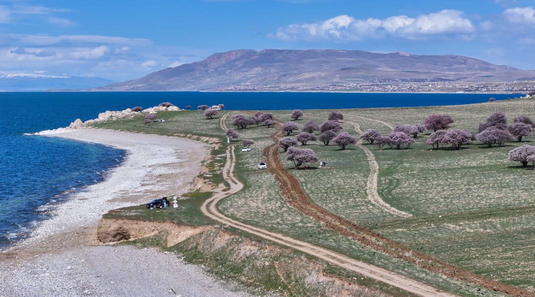 Çarpanak Adası doğaseverleri cezbediyor 6