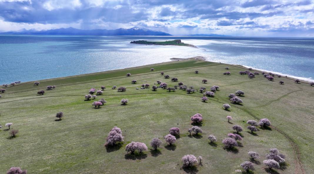 Çarpanak Adası doğaseverleri cezbediyor 14