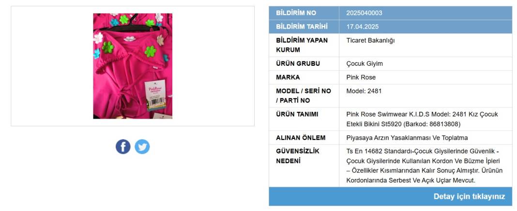 Piyasadan siliniyor! O popüler plaj ürünlerine yasak 3