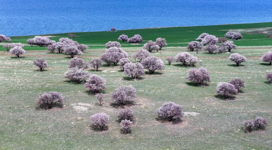 Çarpanak Adası doğaseverleri cezbediyor 13