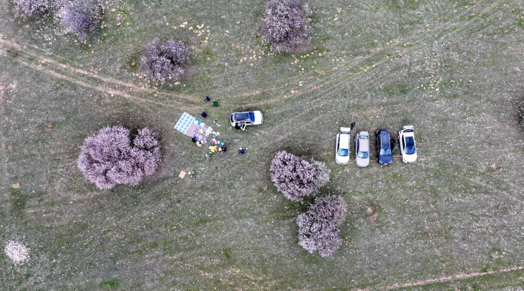 Çarpanak Adası doğaseverleri cezbediyor 12