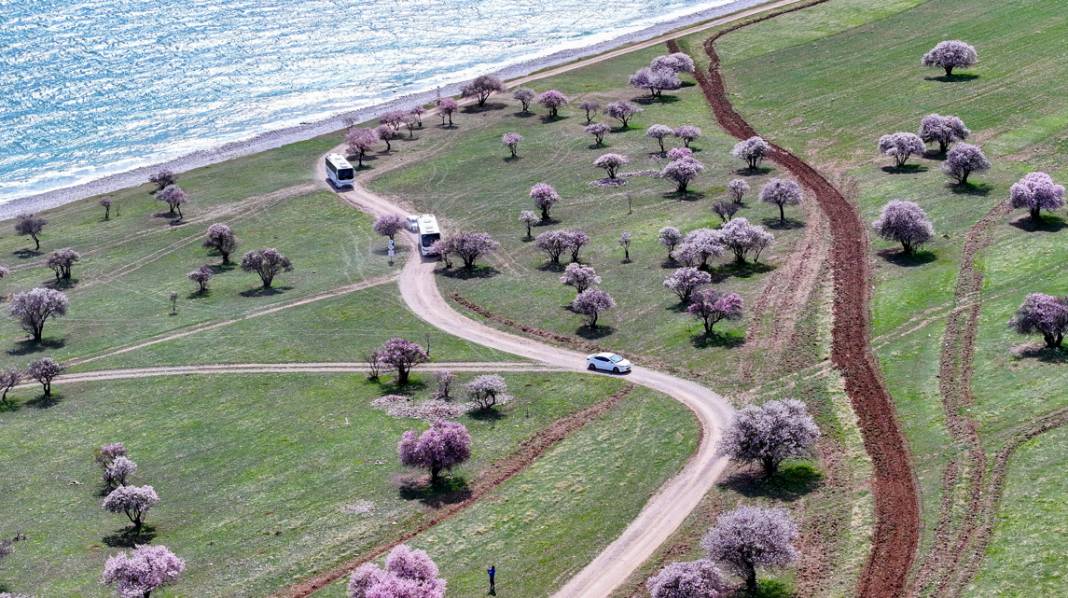 Çarpanak Adası doğaseverleri cezbediyor 9