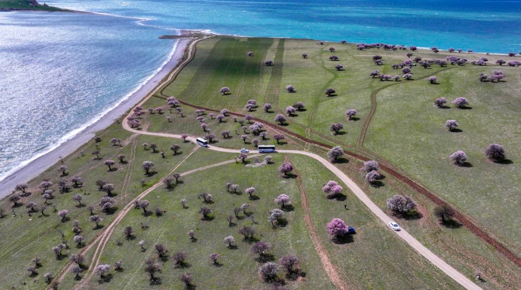 Çarpanak Adası doğaseverleri cezbediyor 8