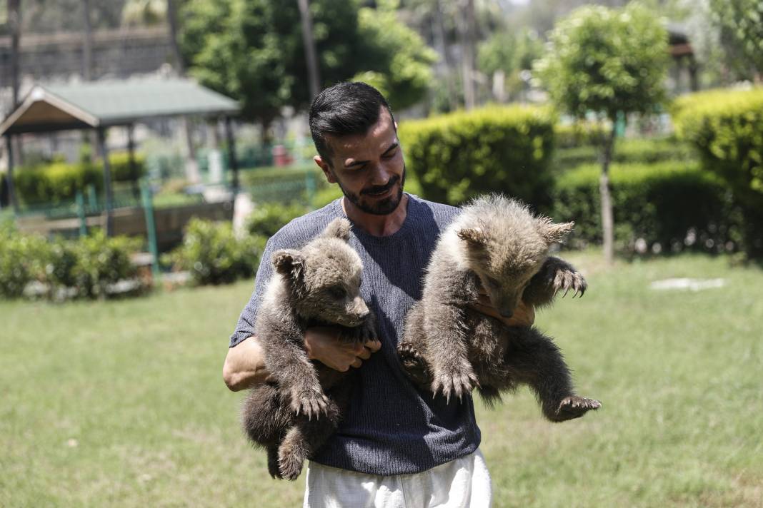 Taş Devri’nden ilham: ‘Fred’ ve ‘Barney’ doğaya hazırlanıyor 3