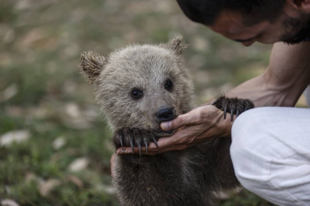 Taş Devri’nden ilham: ‘Fred’ ve ‘Barney’ doğaya hazırlanıyor 5