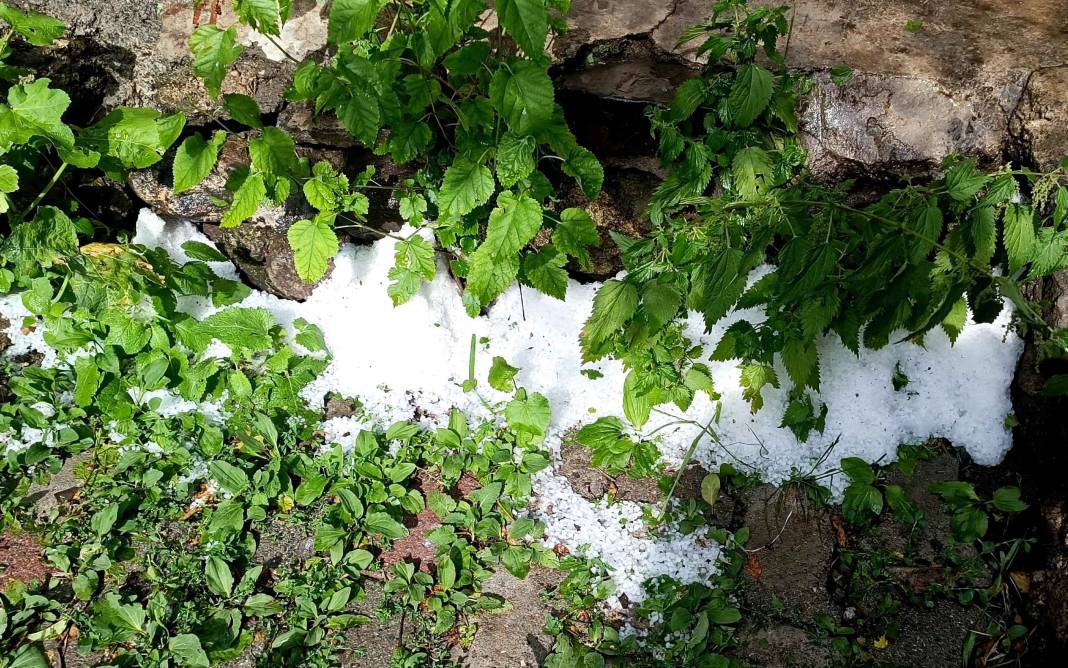 Yazın ortasında sokaklar beyaza büründü 4