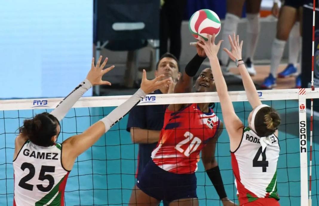 İşte gerçek Kara Panter! Dominik Kraliçesi nefes kesti 6