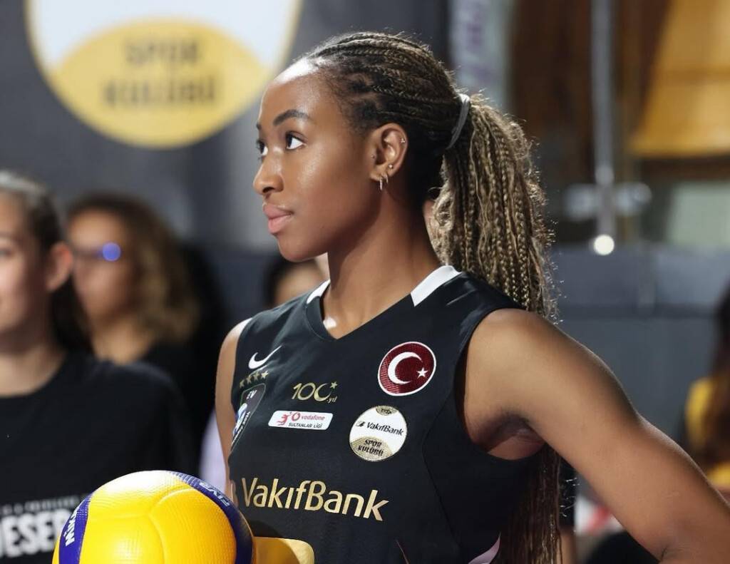 Amerikan Kara Panteri geri döndü: Sultanlar Ligi'ni alt üst edecek transfer 4